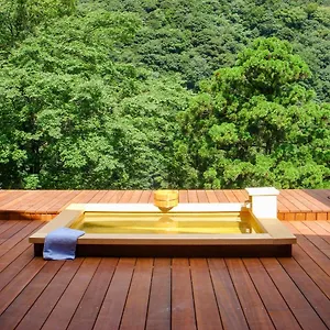 Seikansou **** Hakone